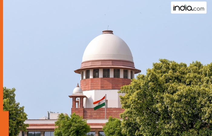 Himalayan region is at risk of …: Supreme Court to pass orders on September 23