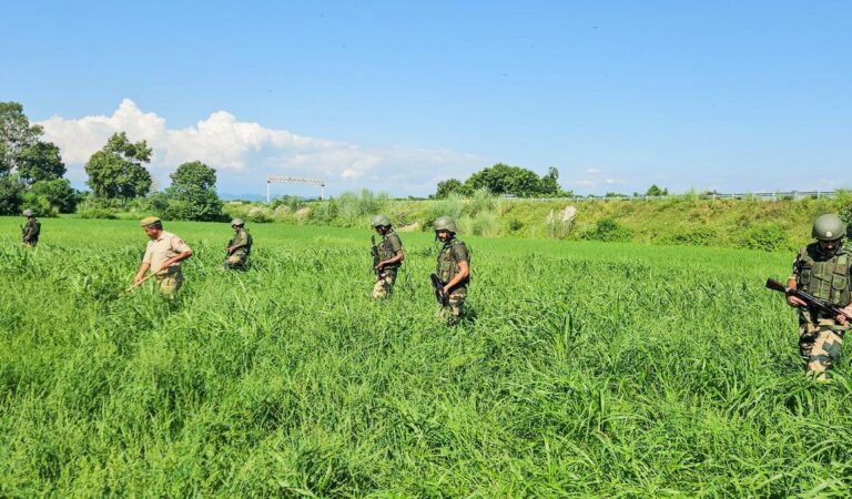 Search Operation Launched After Suspicious Movement In J&K’s Kathua